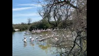 SAINTES MARIES DE LA MER dans tous les sens