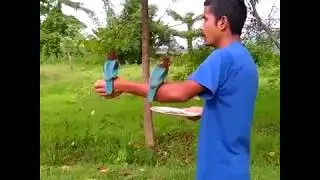 How to call a Kingfisher Bird - King of the Kingfisher