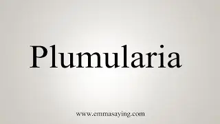 How To Say Plumularia