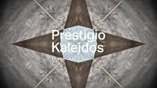 Prestigio Kaleidos Collection