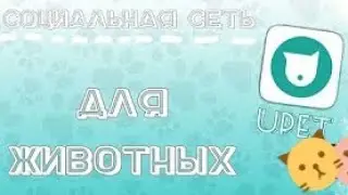 UPET|социальная сеть для животных