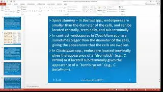 SIR2011: Bacterial identification: Phenotypic tests