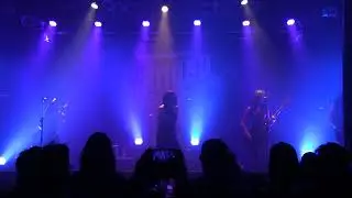 Miss Rabbit - Kick out the Jam (live)
