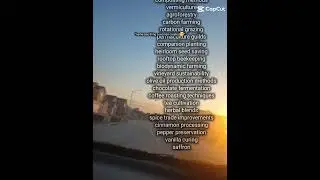 Everything chat