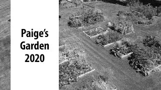 Bitterroot Valley Garden | Corvallis, MT 2020