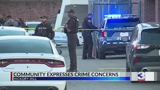 Crime takes spotlight in Hickory Hill town hall meeting