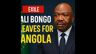 Exile in Angola The Fall of Ali Bongo and the End