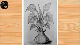 How to draw a money plant step by step easily / Money plant in a pot drawing very easy sketch art
