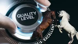 Quality Management Skills: 6 Secrets to Success
