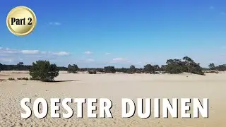 SAND DUNES OF SOEST (2/2) SOESTER DUINEN AFTERNOON | De Lange Duinen @ Soestduinen (2022)