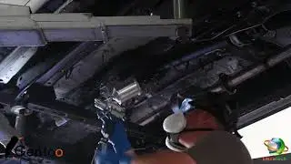 LDV - Gentoo Protection Coating