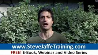 Body By Vi Shake Recipes | Visalus Top Earner Blueprint: Maximize Your Visalus Profits