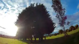 Mr Steele Alien on 5s