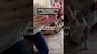 Наш гель 🪥🦷 WB арт: #WW227495 (копируйте вместе с буквами WW и вставляйте на ВБ)