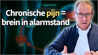 Chronische pijn? Zo kalmeer je je overactieve brein (uitleg over sensitisatie)