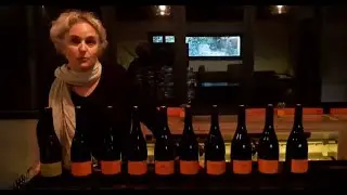 Présentation des vins du Domaine Anne Gros & Jean-Paul Tollot