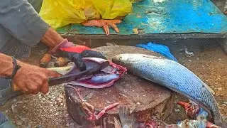 Mushka Fish Fillets | Fish Cutting Video #mushka #fish #cutting