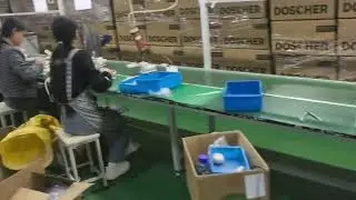 factory audit inspection，Factory verify in China