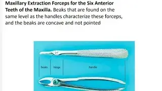 Maxillary Extraction Forceps | dental Forceps #surgery @MedicalStuffSHF07