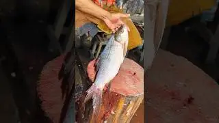 Amazing Rohu fish Cutting skills in Bangladesh fish market by experts cutter#shorts