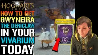 Hogwarts Legacy: How To Get 