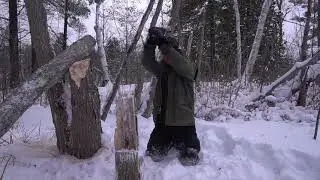 Winter Hot Tenting on Crown Land - part 4 (last one)