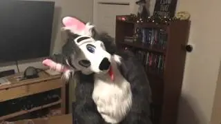 Thank you More Fur Less!!