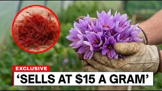 Farm These 10 Crops and Never Work a 9&ndash;5 Again