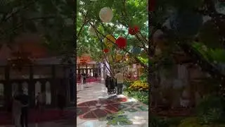 Wynn Resort Las Vegas So Pretty