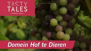 DOMEIN HOF TE DIEREN (Dieren) &bull; The largest walled vineyard in The Netherlands &bull; Tasty Tales