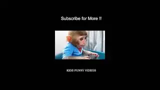 Kids funny videos DAILY LIVE !!! #shorts #livestream