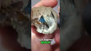 To Polish Amber or just Keep it Raw?? 🤔🤔🤔