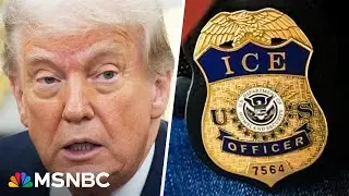 'Totally bizarre and ridiculous': Former judge reacts to Trump team's legal argument on ICE raids