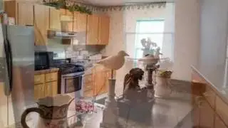 Homes for Sale - 2403 NW 49th Avenue, Gainesville, FL