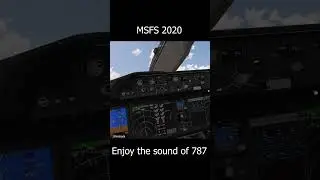 #takeoff #singapore #delhi #shortsfeed #shorts #787 #msfs #msfs2020 #flightsimulator #flight