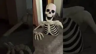 Groundbreaker skeleton from Walgreen&rsquo;s #skeleton #groundbreaker #halloween #walgreens #decorating