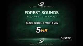 Forest Sounds for Deep Sleep | 5 Hours | Black Screen | Sleep Architecture Lab
