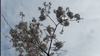 오늘 #오늘이 힘든 분들에게 드리는 노래 #위로 찬양 #