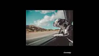 DFBmusic 07 (use headphones 🎧🔥)