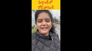 ఫిన్లాండ్ లో రోడ్ క్రాసింగ్ | Road Crossing in Finland #Shorts#Youtubeshorts#Finlandteluguvlogs