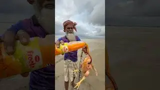 Rural fishing method with tasty chicken bait 31 #fishing #fishinglife￼