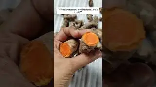 How to Make Turmeric Powder at Home | Ghar Par Haldi Banaye Naturally