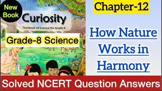 Class 8 Science | Chapter 12 NCERT Question Answers | How Nature Works in Harmony | Curiosity