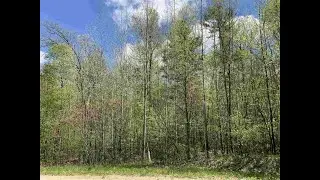 Lot 18 Oak View Dr Shawano, WI 54166 - Vacant land for sale