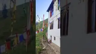 Idyllic place #shortvideo #nature #mountainswiev #travel #hillslover #lifeisbutadream #naturelovers