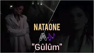 NataOne 
