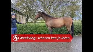 Weekvlog #16: Scheren kan je leren