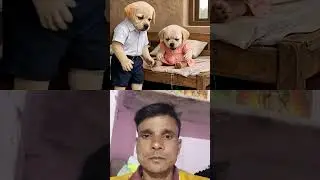 Bhai ka pyar👍💕💯 #comedy #funny #entertainment #shorts #video #education