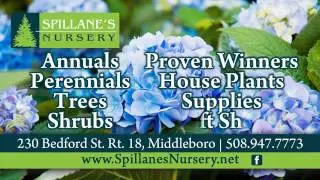 Spillane's Nursery Sprout Digital Network Ad June 2015