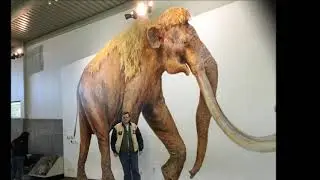 Mammoth National Monument in Waco Texas - Visit December 2019